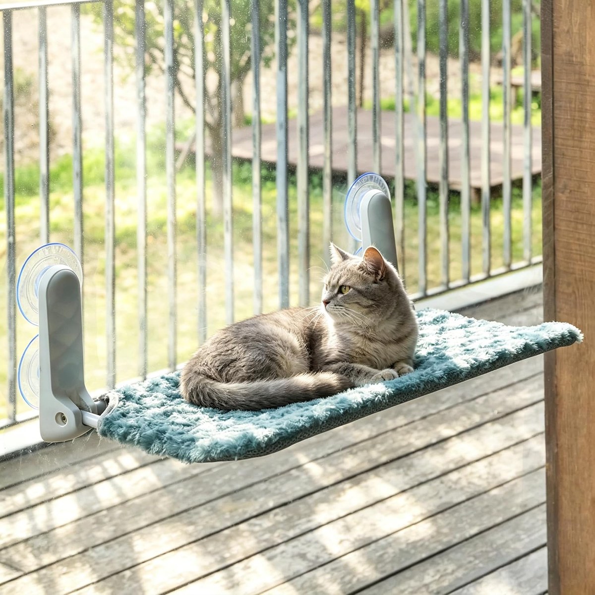 Scratchers & Window Perches