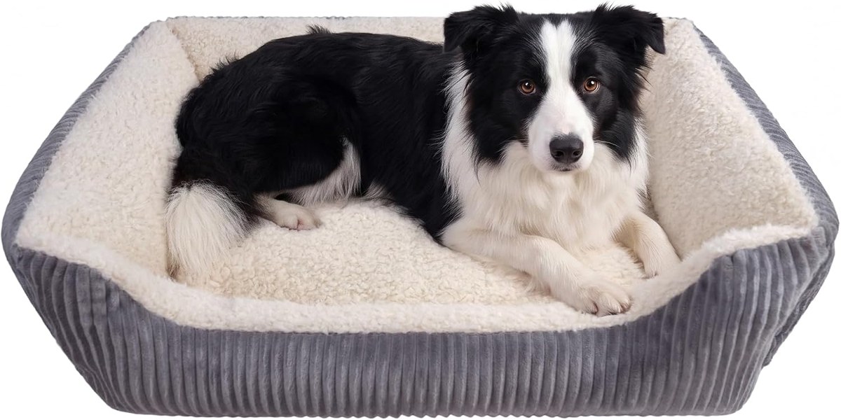 Dog Beds